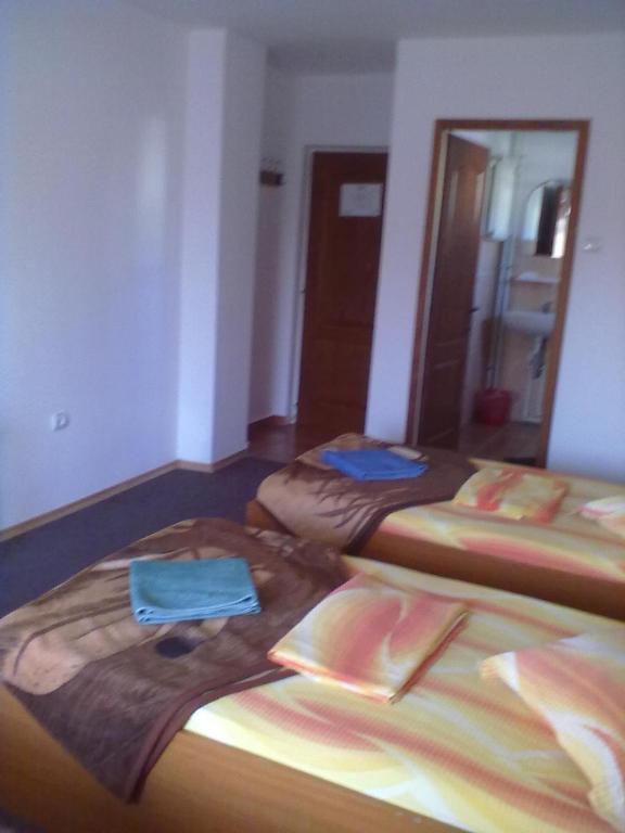 Pensiunea Raffael Otopeni Room photo